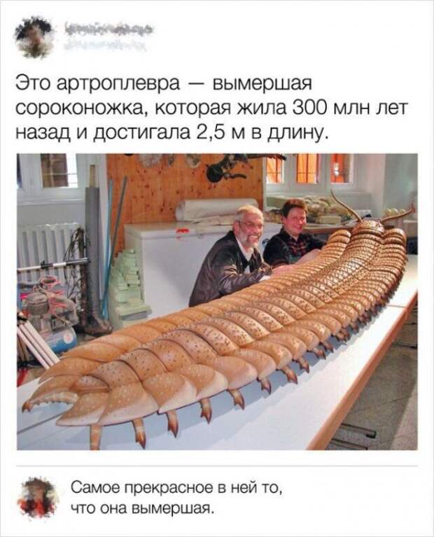 Подборка картинок (20 фото)