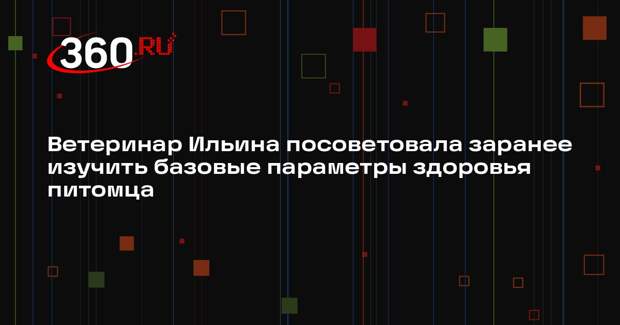 Ветеринар Ильина посоветовала заранее изучить базовые параметры здоровья питомца