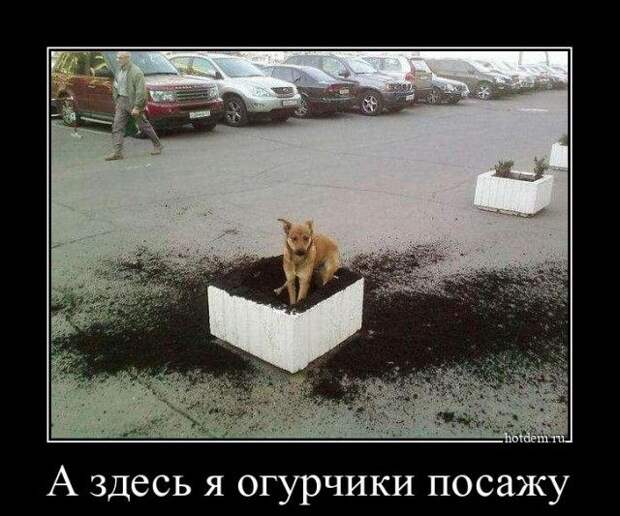 1589439972_demki-13.jpg