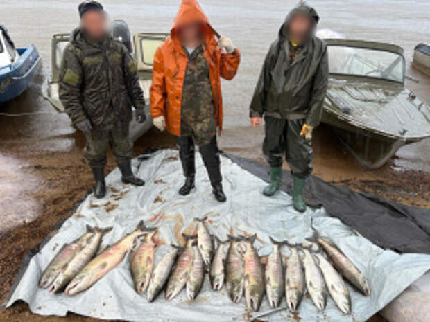 В Хабаровском крае окончено расследование уголовного дела о незаконной добыче водных биологических ресурсов