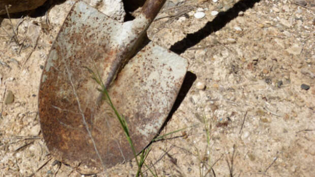 Останки более 10 человек нашли под рестораном в Москве