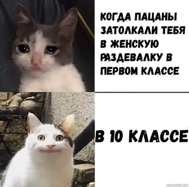 Учительница русского языка, прочитав в сочинении ученика фразу 