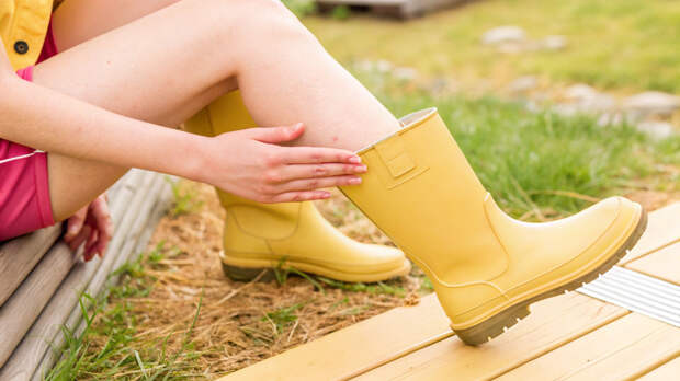 Клещи: как себя обезопасить в сезон, и что делать, если вас укусили