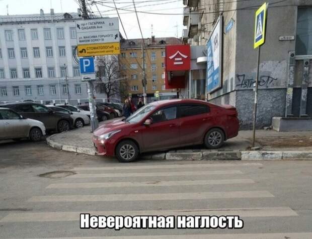 Подборка картинок. Дневной выпуск (20 фото)