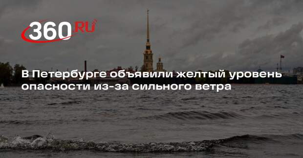 В Петербурге объявили желтый уровень опасности из-за сильного ветра