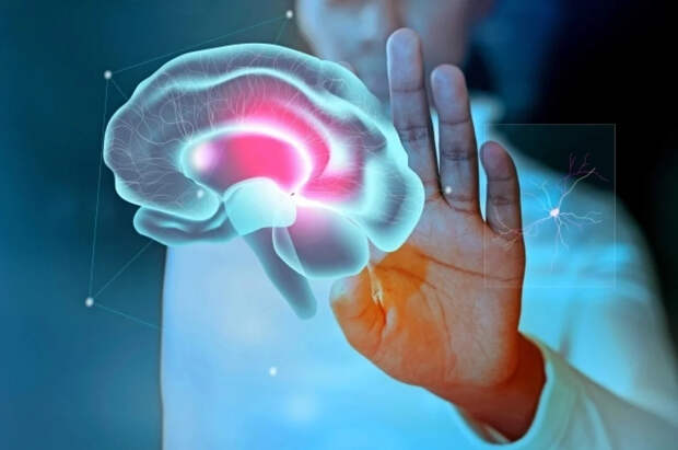 Ученые объяснили механизм прокрастинации в человеческом мозге