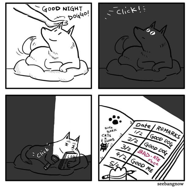 Death, Dogs, Cats And Me