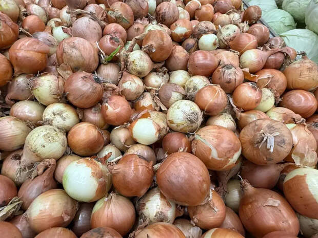 Зачем мучиться с прополкой, если есть газеты: мой способ выращивать лук-великан без удобрений