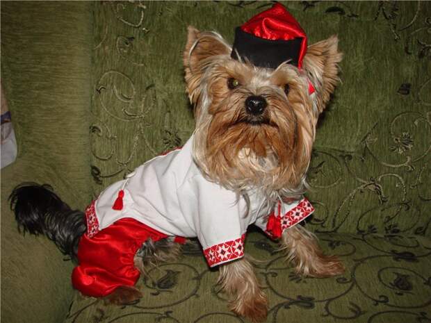 Самые популярные слова на Украине в 2025 году