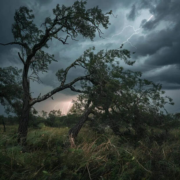 Климат изменится: на Земле станет больше периодов экстремальной жары и засухи
