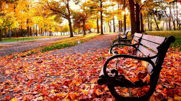21 октября в Москве ожидается теплый и сухой осенний день