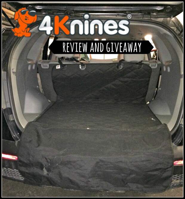 4Knines