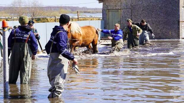 Уровень воды в реке Ишим в Тюменской области достиг критических значений