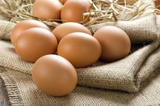 По истечении семи дней яйца из диетических переводятся в разряд столовых / Фото: dnpr.com.ua