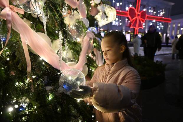 Опасность для россиян из-за клещей на праздничных елках оценили