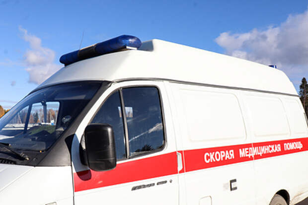 Запорожская область получила по госпрограмме почти 70 автомобилей скорой помощи