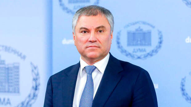 В России с 2024 года приняли 21 закон, касающийся миграционной политики, – Володин