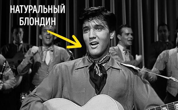 Удивительные факты, которые взорвут мозг