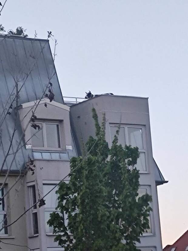 Подборка прикольных картинок