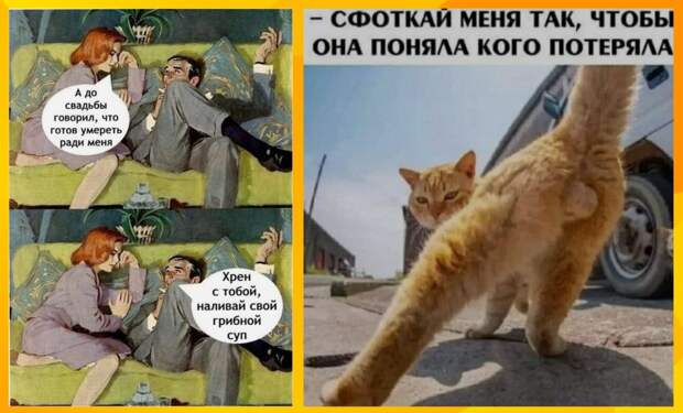 Юмор для тех, кто уже повзрослел и понял, что «быть взрослым» — это оплачивать веселье других