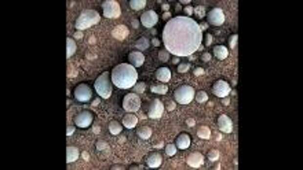 What are blueberries doing on Mars? These small, mineral hematite-rich concretions are near Fram Crater, visited by NASA's Opportunity rover in April 2004. The area shown is 1.2 inches across. The view comes from the microscopic imager on Opportunity's robotic arm, with color information added from the rover's panoramic camera. These minerals suggests that Mars had a watery past.