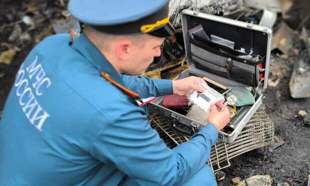 В системе МЧС России более 2 800 дознавателей