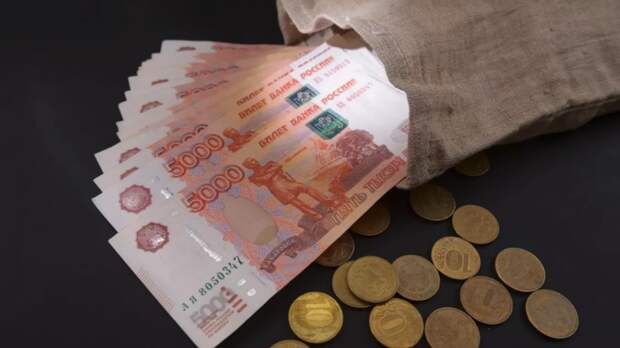 РИА Новости: в двух отраслях средняя зарплата составила выше 500 тысяч рублей