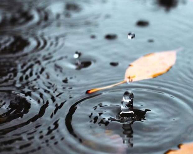 Мишустин обсудил с Росгидрометом подготовку регионов к половодью и пожарам