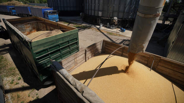 От Китая до Египта: удмуртские аграрии за год увеличили экспорт в полтора раза