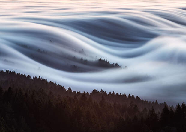Волны тумана в долине