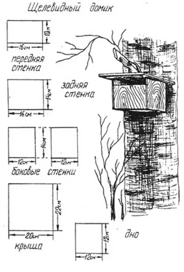 Скворечник для трясогузки чертеж