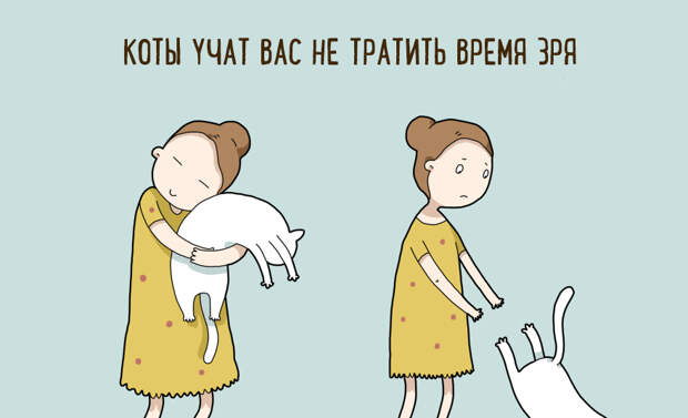 10 шуточных причин, по которым стоит завести себе кота