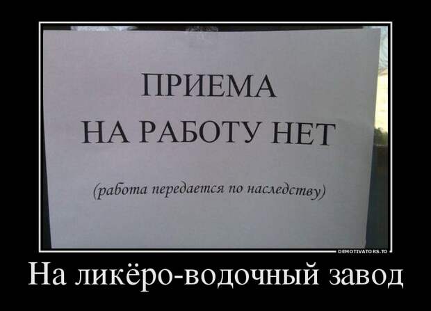 Демотиваторы бревно, демотиваторы, юмор