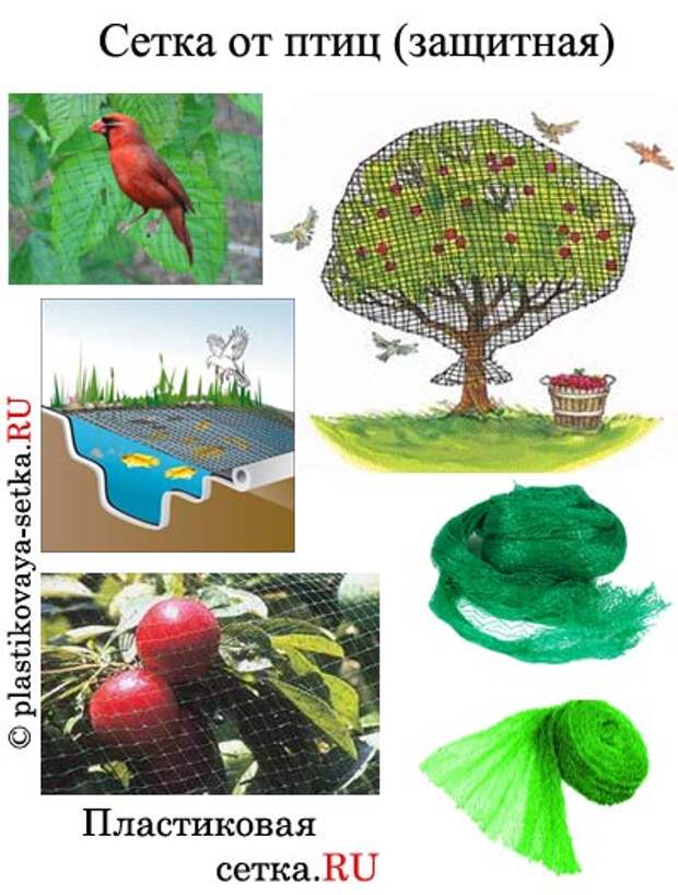 Сетка от птиц защитная