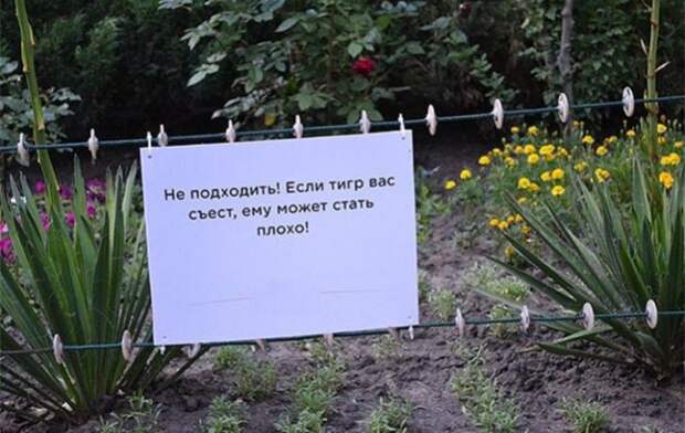 Добро пожаловать в зоопарк!