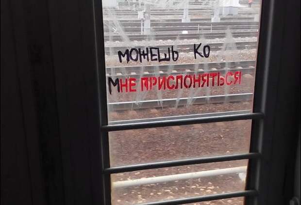 Работа над ошибками: эти вывески рассмешат вас до слёз