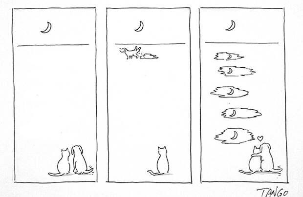 funny-comics-shanghai-tango-34-57b1bd88cc469__605