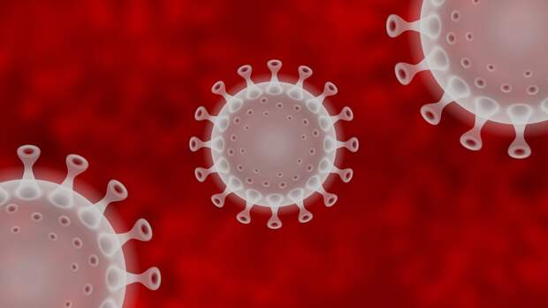 Четыре новых больных коронавирусом выявлены в Севастополе