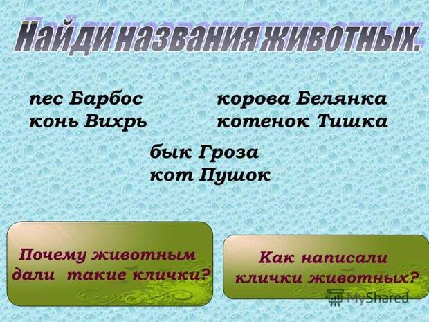Как даются «клички» Как даются «клички»