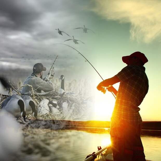 Picture background