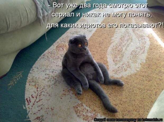 Котоматрицы(картинки с надписями)