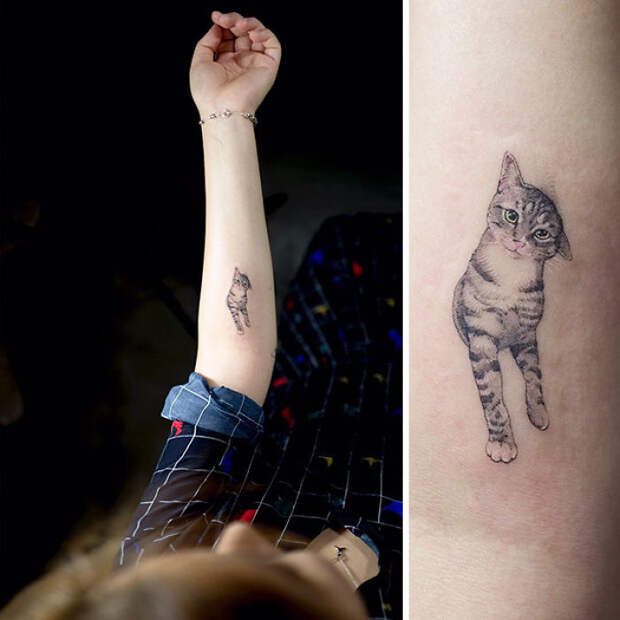 Cat Tattoo