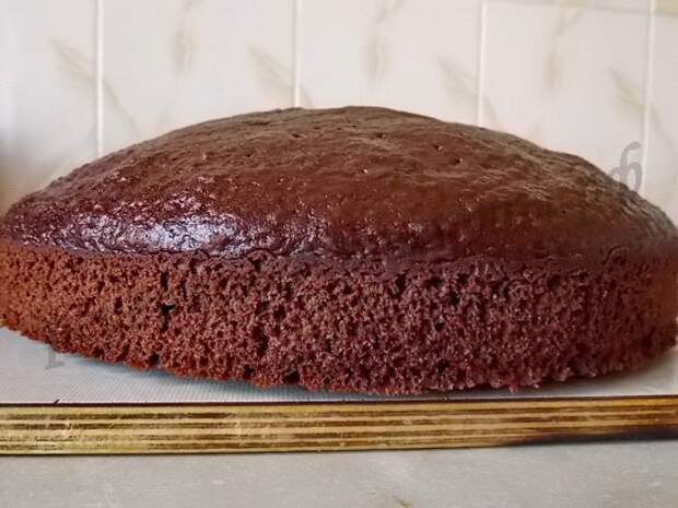 корж на кипятке получился высоким