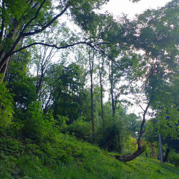 20250721_172357.jpg 20250721_172357.jpg