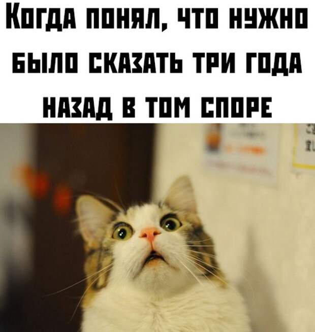 www.vsyako.net