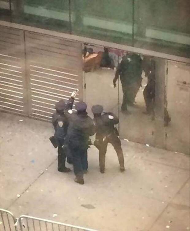 Прикольные картинки