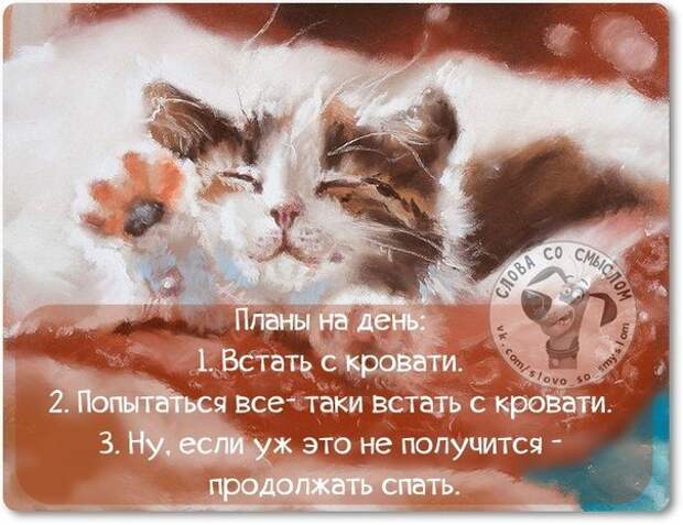 Интересные, стёбные и позитивные фразочки со смыслом (29 фото) Интересные, стёбные и позитивные фразочки со смыслом (29 фото)