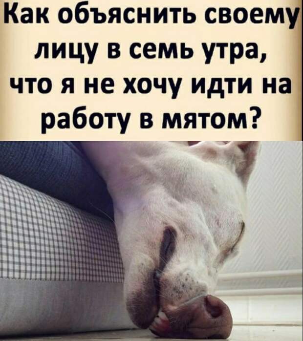 Юмор из интернета 570
