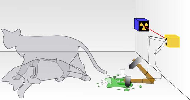 Без сомнений, самым известным объектом, находящемся в состоянии квантовой суперпозиции, является кот Шрёдингера, который и жив, и мёртв одновременно.