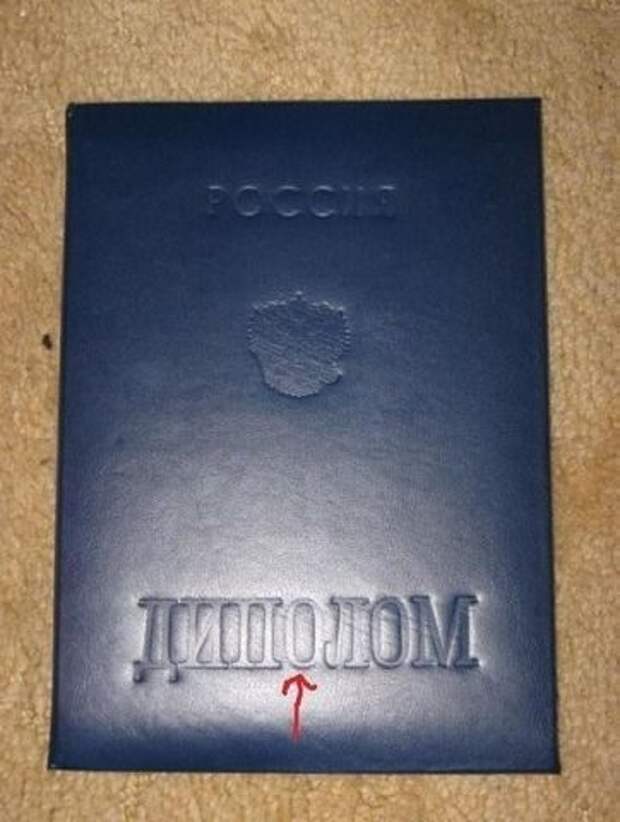 Наша Россия